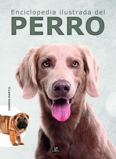 ENCICLOPEDIA ILUSTRADA DEL PERRO | 9788466242455 | MARTUL HERNÁNDEZ, CARMEN | Llibres Parcir | Librería Parcir | Librería online de Manresa | Comprar libros en catalán y castellano online