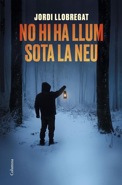 NO HI HA LLUM SOTA LA NEU | 9788466425582 | LLOBREGAT, JORDI | Llibres Parcir | Llibreria Parcir | Llibreria online de Manresa | Comprar llibres en català i castellà online