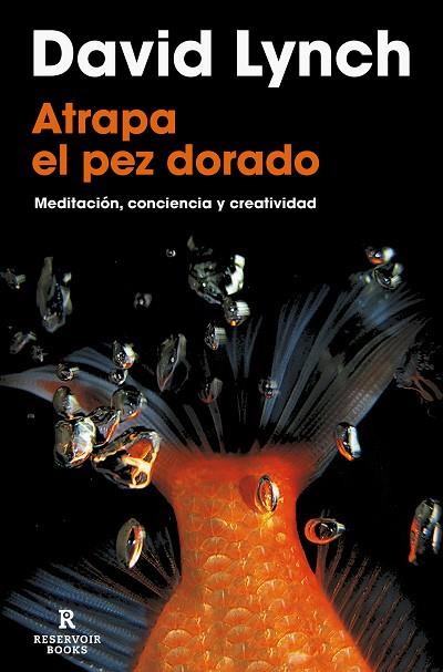 ATRAPA EL PEZ DORADO | 9788418897436 | LYNCH, DAVID | Llibres Parcir | Librería Parcir | Librería online de Manresa | Comprar libros en catalán y castellano online