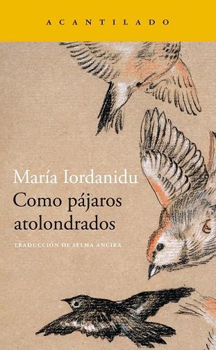 COMO PÁJAROS ATOLONDRADOS | 9788419036704 | IORDANIDU, MARIA | Llibres Parcir | Llibreria Parcir | Llibreria online de Manresa | Comprar llibres en català i castellà online