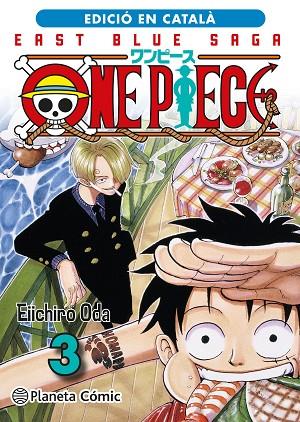 ONE PIECE Nº 03 (CATALÀ) | 9788411406772 | ODA, EIICHIRO | Llibres Parcir | Librería Parcir | Librería online de Manresa | Comprar libros en catalán y castellano online