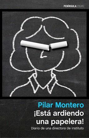 ¡ESTÁ ARDIENDO UNA PAPELERA! | 9788499424354 | MONTERO, PILAR | Llibres Parcir | Librería Parcir | Librería online de Manresa | Comprar libros en catalán y castellano online