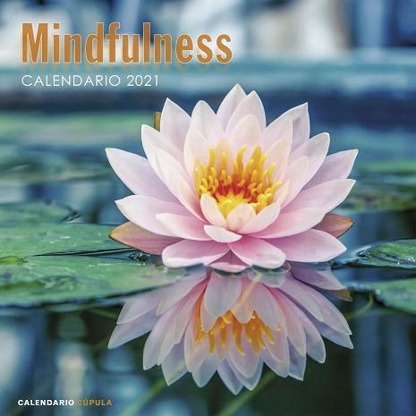 CALENDARIO MINDFULNESS 2021 | 9788448027735 | AA. VV. | Llibres Parcir | Librería Parcir | Librería online de Manresa | Comprar libros en catalán y castellano online