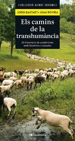 ELS CAMINS DE LA TRANSHUMÀNCIA | 9788413565521 | BASTART I CASSÉ, JORDI/ROVIRA MERINO, JOAN | Llibres Parcir | Librería Parcir | Librería online de Manresa | Comprar libros en catalán y castellano online