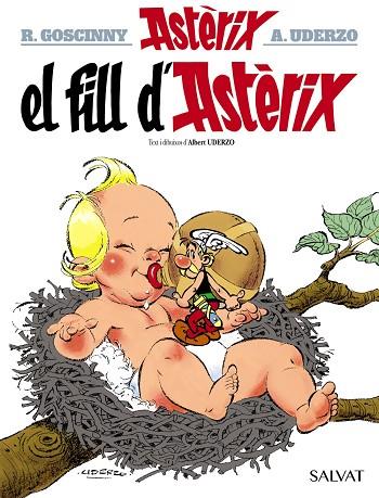 EL FILL D'ASTÈRIX | 9788469603079 | UDERZO, ALBERT | Llibres Parcir | Librería Parcir | Librería online de Manresa | Comprar libros en catalán y castellano online