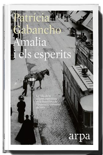 AMALIA I ELS ESPERITS | 9788416601318 | PATRÍCIA GABANCHO | Llibres Parcir | Librería Parcir | Librería online de Manresa | Comprar libros en catalán y castellano online