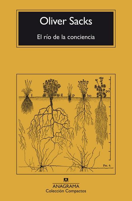 EL RÍO DE LA CONCIENCIA | 9788433946867 | SACKS, OLIVER | Llibres Parcir | Librería Parcir | Librería online de Manresa | Comprar libros en catalán y castellano online