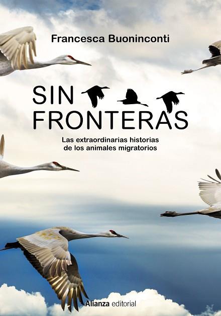 SIN FRONTERAS | 9788413625300 | BUONINCONTI, FRANCESCA | Llibres Parcir | Librería Parcir | Librería online de Manresa | Comprar libros en catalán y castellano online