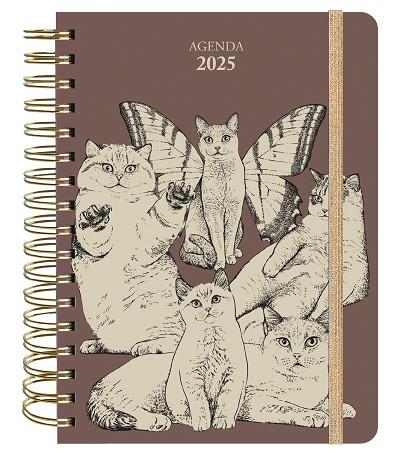 AGENDA ANUAL SEMANAL 2025 LAURA AGUSTÍ | 9788419215338 | LAURA AGUSTÍ (LALAURI) | Llibres Parcir | Librería Parcir | Librería online de Manresa | Comprar libros en catalán y castellano online