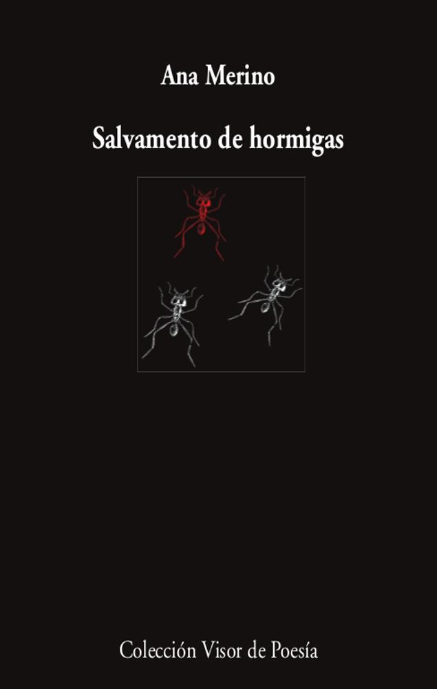 SALVAMENTO DE HORMIGAS | 9788498954630 | MERINO, ANA | Llibres Parcir | Llibreria Parcir | Llibreria online de Manresa | Comprar llibres en català i castellà online