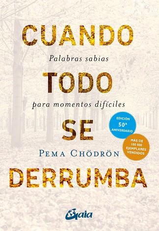 CUANDO TODO SE DERRUMBA | 9788411082341 | CHÖDRÖN, PEMA | Llibres Parcir | Librería Parcir | Librería online de Manresa | Comprar libros en catalán y castellano online