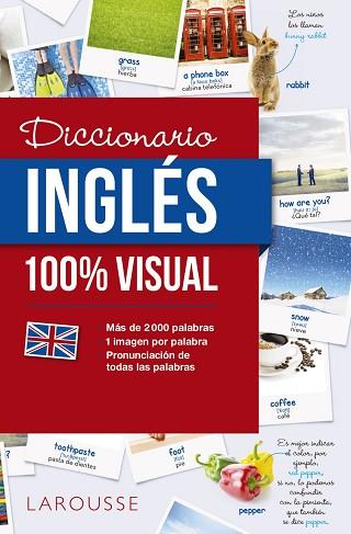 DICCIONARIO DE INGLÉS 100% VISUAL | 9788416641772 | LAROUSSE EDITORIAL | Llibres Parcir | Llibreria Parcir | Llibreria online de Manresa | Comprar llibres en català i castellà online