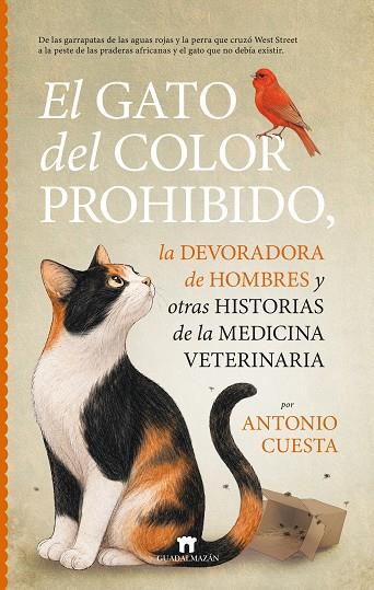 EL GATO DEL COLOR PROHIBIDO, LA DEVORADORA DE HOMBRES Y OTRAS HISTORIAS DE LA ME | 9791387941314 | ANTONIO CUESTA | Llibres Parcir | Llibreria Parcir | Llibreria online de Manresa | Comprar llibres en català i castellà online
