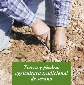 TIERRA Y PIEDRA | 9788476288955 | GROS SANTASUSANA, ALBA | Llibres Parcir | Llibreria Parcir | Llibreria online de Manresa | Comprar llibres en català i castellà online