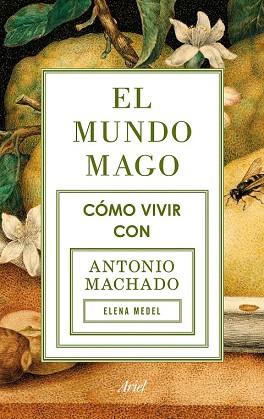 EL MUNDO MAGO | 9788434422353 | ELENA MEDEL | Llibres Parcir | Librería Parcir | Librería online de Manresa | Comprar libros en catalán y castellano online