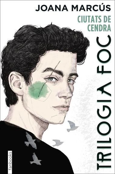 TRILOGIA FOC 2: CIUTATS DE CENDRA | 9788418327988 | MARCÚS, JOANA | Llibres Parcir | Librería Parcir | Librería online de Manresa | Comprar libros en catalán y castellano online