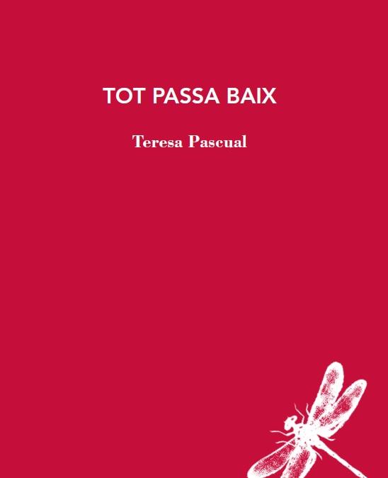 TOT PASSA BAIX | 9788412577426 | PASCUAL, TERESA | Llibres Parcir | Llibreria Parcir | Llibreria online de Manresa | Comprar llibres en català i castellà online