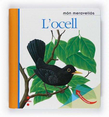 MON MERAVELLOS L'OCELL | 9788466125161 | Llibres Parcir | Llibreria Parcir | Llibreria online de Manresa | Comprar llibres en català i castellà online