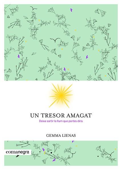 UN TRESOR AMAGAT | 9788416605347 | LIENAS MASSOT, GEMMA | Llibres Parcir | Librería Parcir | Librería online de Manresa | Comprar libros en catalán y castellano online
