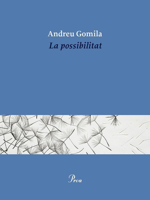 LA POSSIBILITAT | 9791388369155 | GOMILA LLOBERA, ANDREU | Llibres Parcir | Llibreria Parcir | Llibreria online de Manresa | Comprar llibres en català i castellà online
