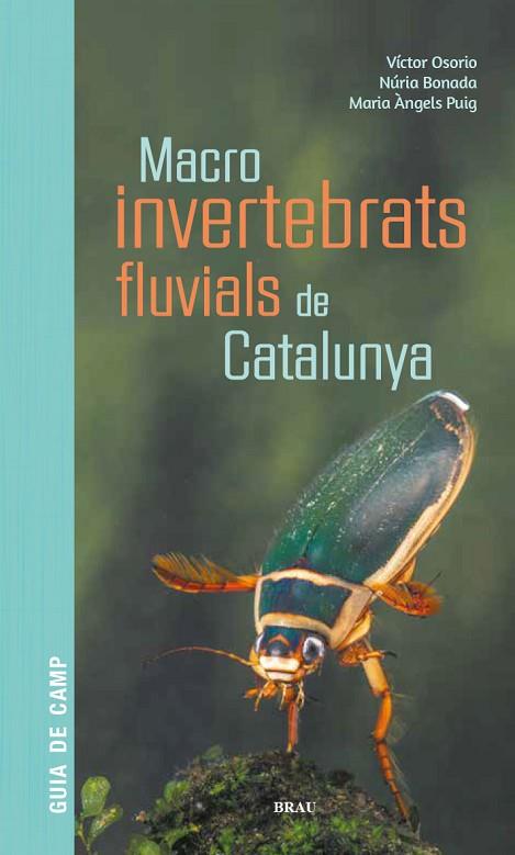 MACROINVERTEBRATS FLUVIALS DE CATALUNYA | 9788418096204 | OSORIO ÁLVAREZ, VÍCTOR/PUIG GARCÍA, M. ÁNGELES/BONADA CAPARRÓS, NÚRIA | Llibres Parcir | Llibreria Parcir | Llibreria online de Manresa | Comprar llibres en català i castellà online