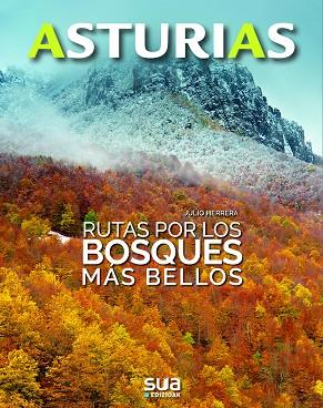 RUTAS POR LOS BOSQUES MÁS BELLOS | 9788482167190 | HERRERA MENENDEZ, JULIO | Llibres Parcir | Llibreria Parcir | Llibreria online de Manresa | Comprar llibres en català i castellà online