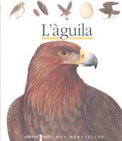 L'AGUILA | 9788476298220 | Llibres Parcir | Librería Parcir | Librería online de Manresa | Comprar libros en catalán y castellano online