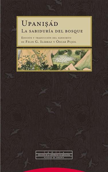 UPANISÁD | 9788413643021 | ILÁRRAZ, FÉLIX G. / PUJOL, ÒSCAR | Llibres Parcir | Llibreria Parcir | Llibreria online de Manresa | Comprar llibres en català i castellà online