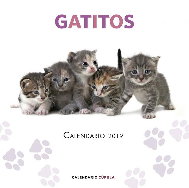 CALENDARIO GATITOS 2019 | 9788448024659 | AA. VV. | Llibres Parcir | Librería Parcir | Librería online de Manresa | Comprar libros en catalán y castellano online