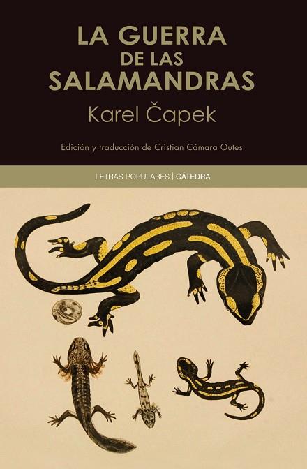 LA GUERRA DE LAS SALAMANDRAS | 9788437646466 | CAPEK, KAREL | Llibres Parcir | Librería Parcir | Librería online de Manresa | Comprar libros en catalán y castellano online