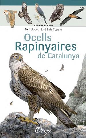 OCELLS RAPINYAIRES DE CATALUNYA | 9788490346785 | LLOBET FRANçOIS, TONI/COPETE, JOSé LUIS | Llibres Parcir | Librería Parcir | Librería online de Manresa | Comprar libros en catalán y castellano online
