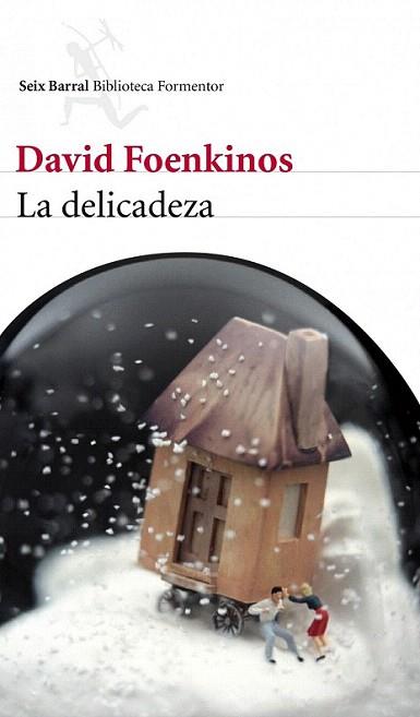 LA DELICADEZA | 9788432209246 | FOENKINOS DAVID | Llibres Parcir | Librería Parcir | Librería online de Manresa | Comprar libros en catalán y castellano online