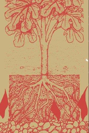 AUTONOMÍA Y SUBSISTENCIA | 9788417870423 | BERLAN, AURÉLIEN | Llibres Parcir | Llibreria Parcir | Llibreria online de Manresa | Comprar llibres en català i castellà online