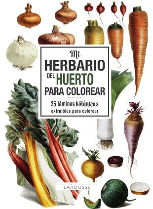 MI HERBARIO DEL HUERTO PARA COLOREAR | 9788417273743 | LAROUSSE EDITORIAL | Llibres Parcir | Llibreria Parcir | Llibreria online de Manresa | Comprar llibres en català i castellà online