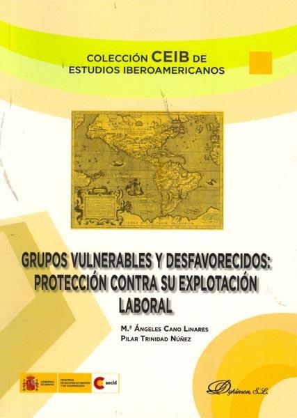 GRUPOS VULNERABLES Y DESFAVORECIDOS PROTECC CONTRA EXPL LAB | 9788499820255 | MARIA ANGELES CANO LINARES PILAR TRINIDAD NUÑEZ | Llibres Parcir | Librería Parcir | Librería online de Manresa | Comprar libros en catalán y castellano online