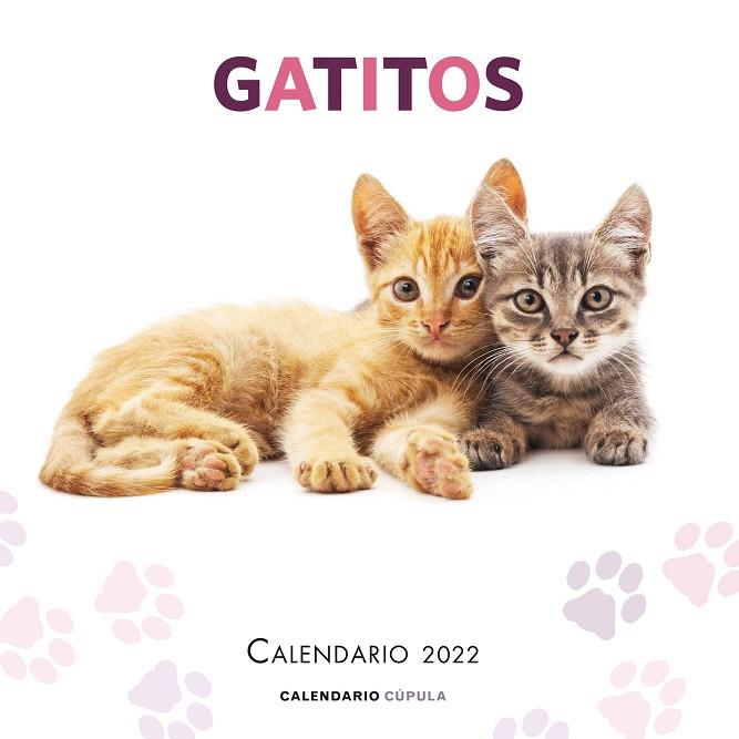 CALENDARIO GATITOS 2022 | 9788448028695 | AA. VV. | Llibres Parcir | Librería Parcir | Librería online de Manresa | Comprar libros en catalán y castellano online