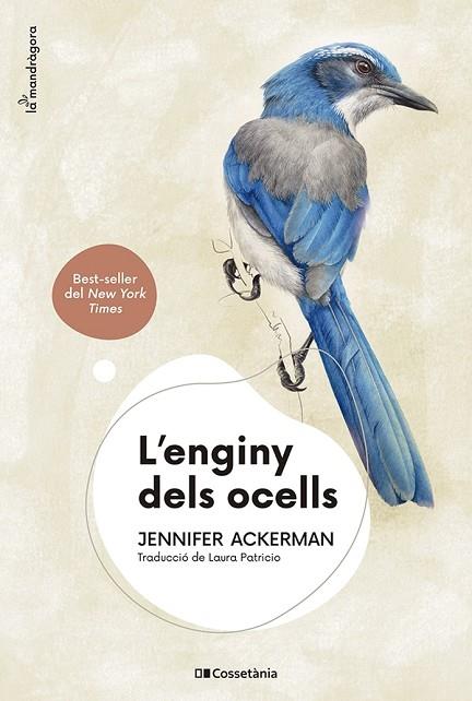 L'ENGINY DELS OCELLS | 9788413562544 | ACKERMAN, JENNIFER | Llibres Parcir | Librería Parcir | Librería online de Manresa | Comprar libros en catalán y castellano online