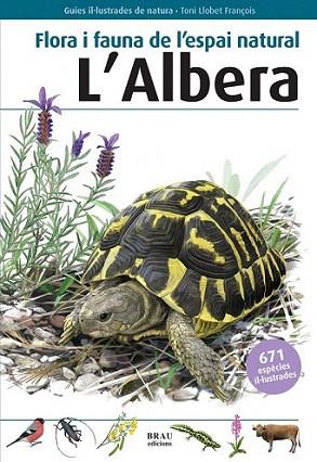 L ALBERA FLORA FAUNA ESPAI NATURAL | 9788496905559 | LLOBET T | Llibres Parcir | Librería Parcir | Librería online de Manresa | Comprar libros en catalán y castellano online