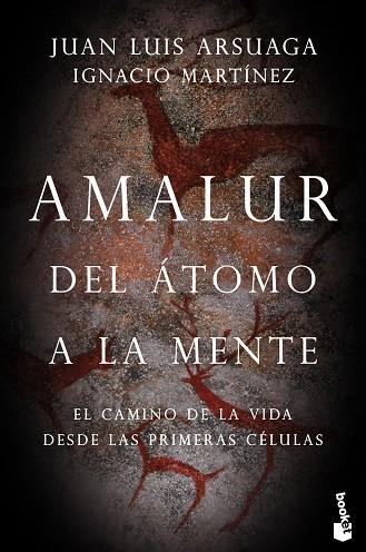AMALUR | 9788423355365 | ARSUAGA, JUAN LUIS / MARTÍNEZ, IGNACIO | Llibres Parcir | Llibreria Parcir | Llibreria online de Manresa | Comprar llibres en català i castellà online