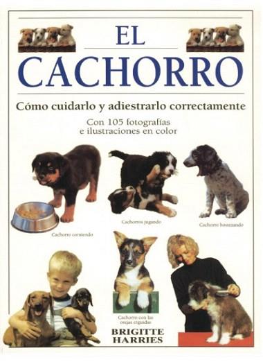 EL CACHORRO | 9788428210997 | HARRIES | Llibres Parcir | Llibreria Parcir | Llibreria online de Manresa | Comprar llibres en català i castellà online