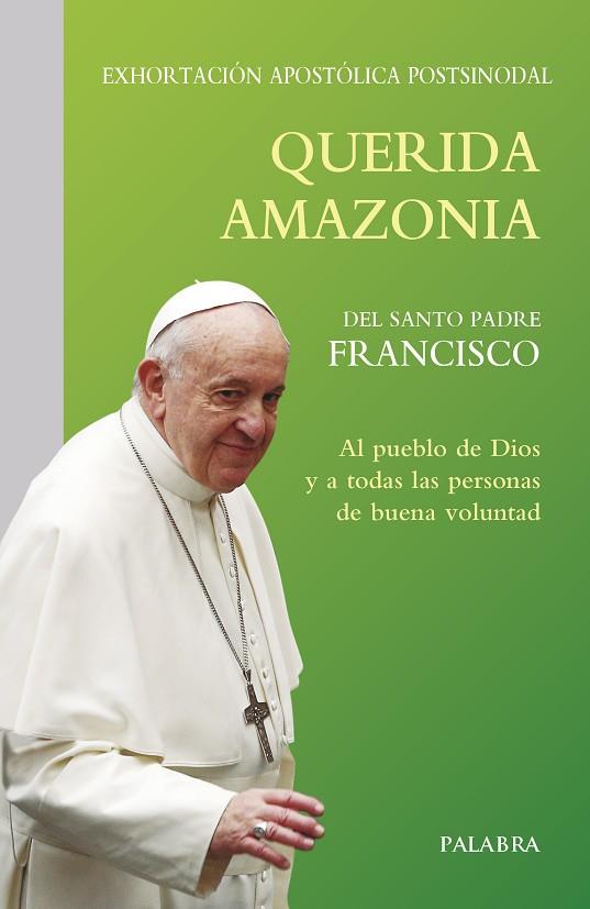 QUERIDA AMAZONIA | 9788490619650 | PAPA FRANCISCO | Llibres Parcir | Librería Parcir | Librería online de Manresa | Comprar libros en catalán y castellano online