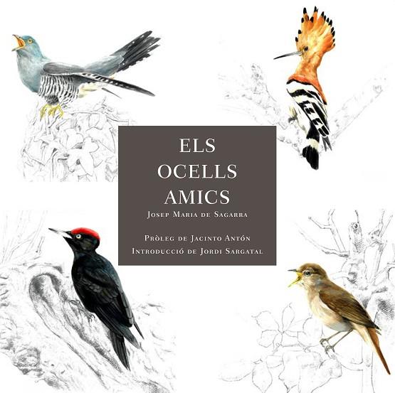 ELS OCELLS AMICS | 9788412949025 | DE SAGARRA, JOSEP MARIA | Llibres Parcir | Librería Parcir | Librería online de Manresa | Comprar libros en catalán y castellano online