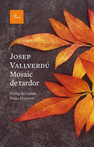 MOSAIC DE TARDOR | 9788419657244 | VALLVERDÚ AIXALÀ, JOSEP | Llibres Parcir | Librería Parcir | Librería online de Manresa | Comprar libros en catalán y castellano online