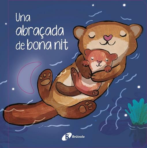 UNA ABRAÇADA DE BONA NIT | 9788413494319 | HEGARTY, PATRICIA | Llibres Parcir | Librería Parcir | Librería online de Manresa | Comprar libros en catalán y castellano online