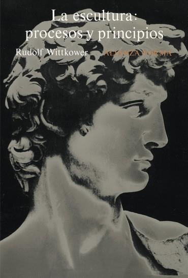 LA ESCULTURA: PROCESOS Y PRINCIPIOS | 9788420670089 | WITTKOWER, RUDOLF | Llibres Parcir | Librería Parcir | Librería online de Manresa | Comprar libros en catalán y castellano online