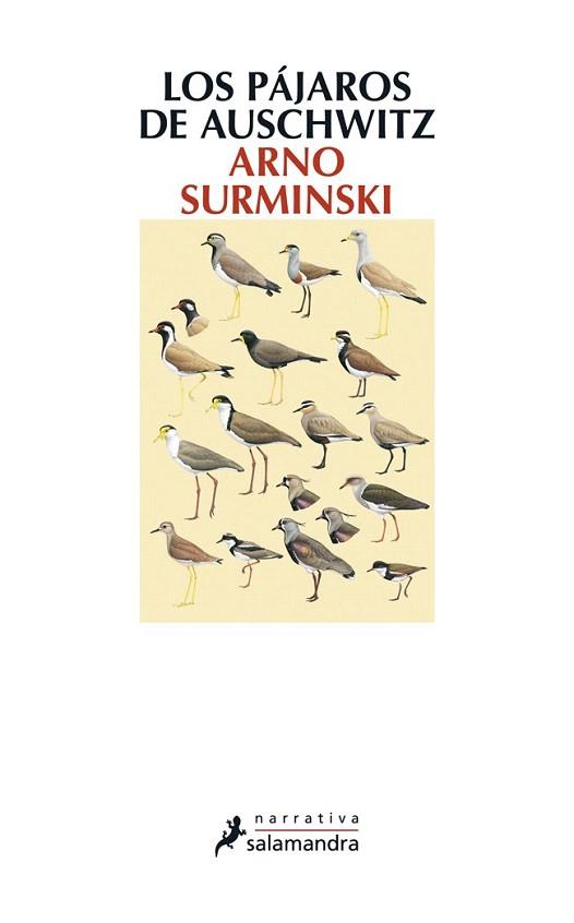 PÁJAROS DE AUSCHWITZ, LOS | 9788498384987 | Surminski, Arno | Llibres Parcir | Llibreria Parcir | Llibreria online de Manresa | Comprar llibres en català i castellà online