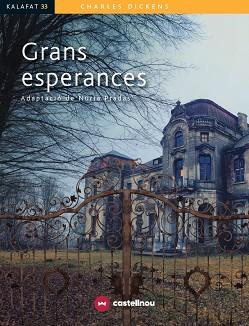GRANS ESPERANCES | 9788417406813 | PRADAS, NÚRIA | Llibres Parcir | Librería Parcir | Librería online de Manresa | Comprar libros en catalán y castellano online