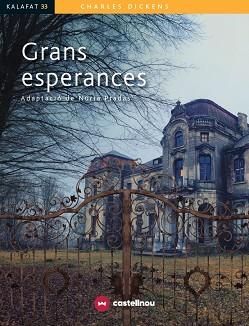 GRANS ESPERANCES | 9788417406813 | PRADAS, NÚRIA | Llibres Parcir | Llibreria Parcir | Llibreria online de Manresa | Comprar llibres en català i castellà online