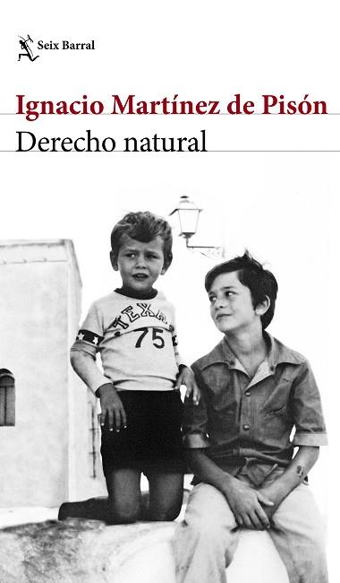 DERECHO NATURAL | 9788432232220 | IGNACIO MARTÍNEZ DE PISÓN | Llibres Parcir | Llibreria Parcir | Llibreria online de Manresa | Comprar llibres en català i castellà online