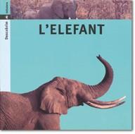 L ELEFANT | 9788424602734 | GONZALEZ | Llibres Parcir | Llibreria Parcir | Llibreria online de Manresa | Comprar llibres en català i castellà online